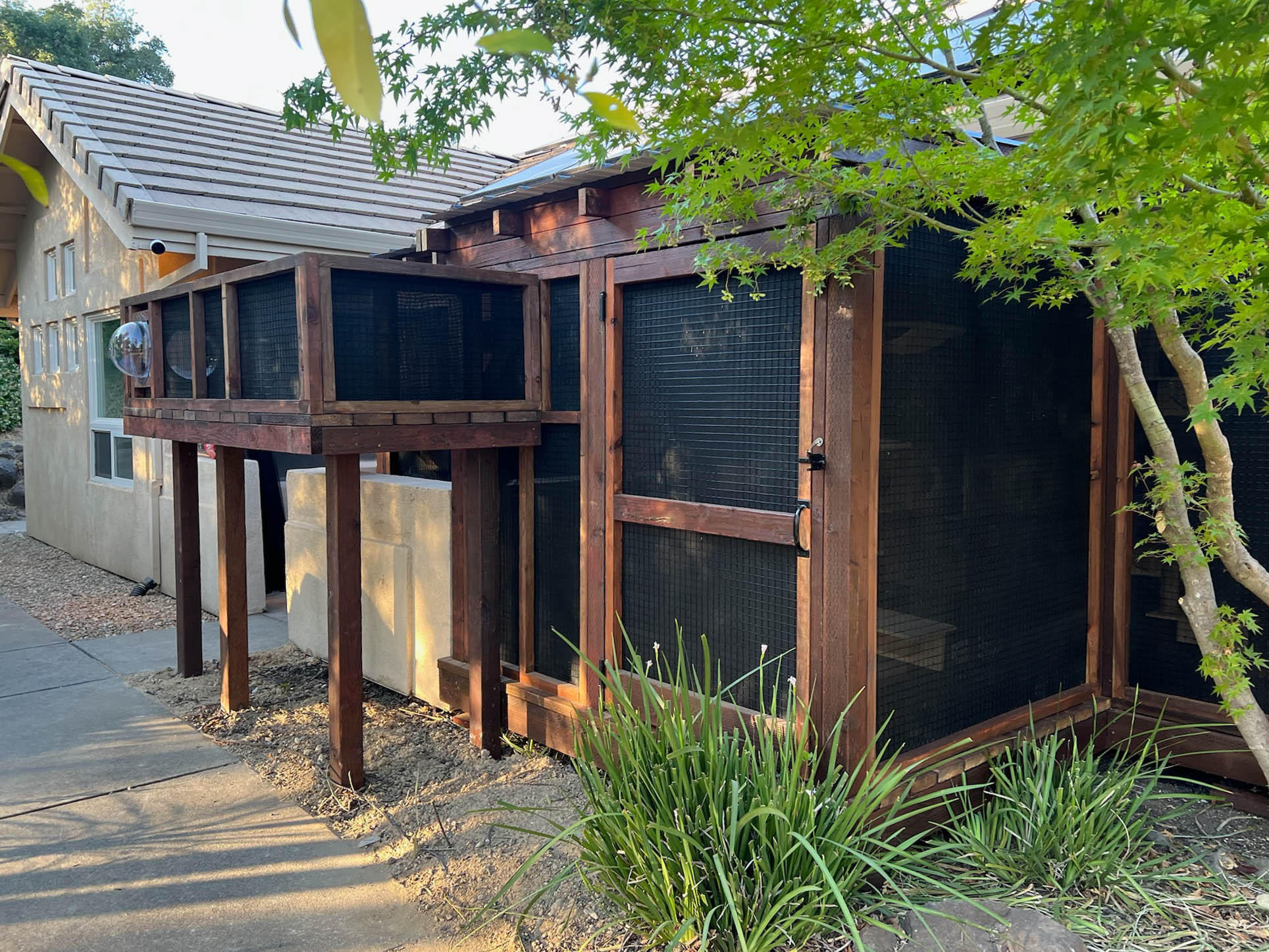 Angled view of a large custom catio connected to a house, with dark mesh panels, wooden framing, a clear bubble window, and lush landscaping in the foreground.