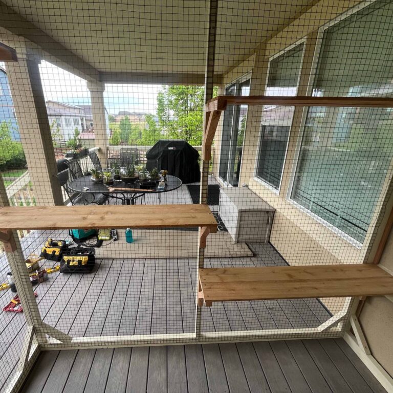 Newly constructed custom catio with multiple wooden perches attached to mesh walls, overlooking a backyard patio.