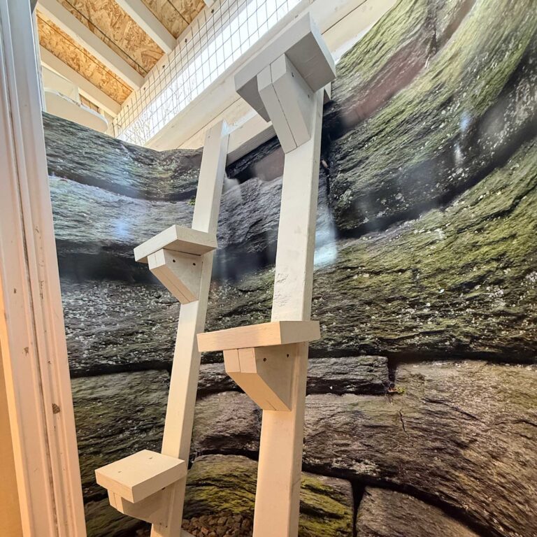 Two vertical white climbing posts with staggered perches, set against a rock-patterned wall inside a custom-built catio.
