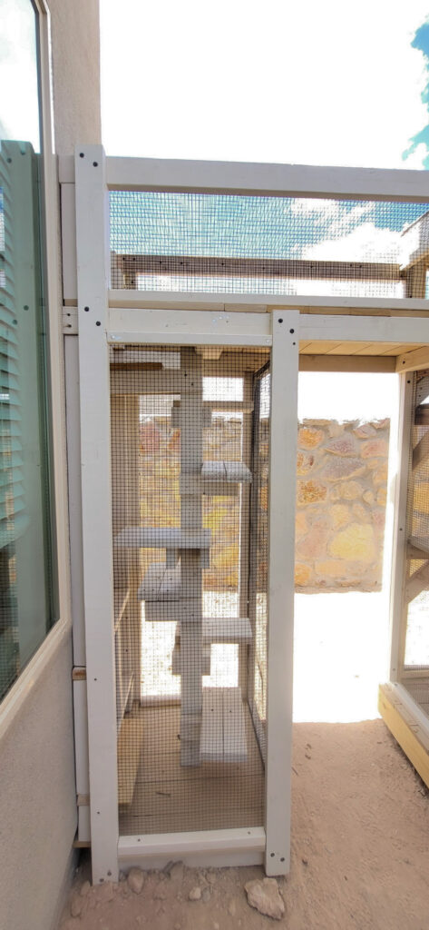 Close-up of a narrow vertical catio tunnel with multiple tiered platforms, attached to the side of a home with a mesh enclosure for safe vertical climbing.