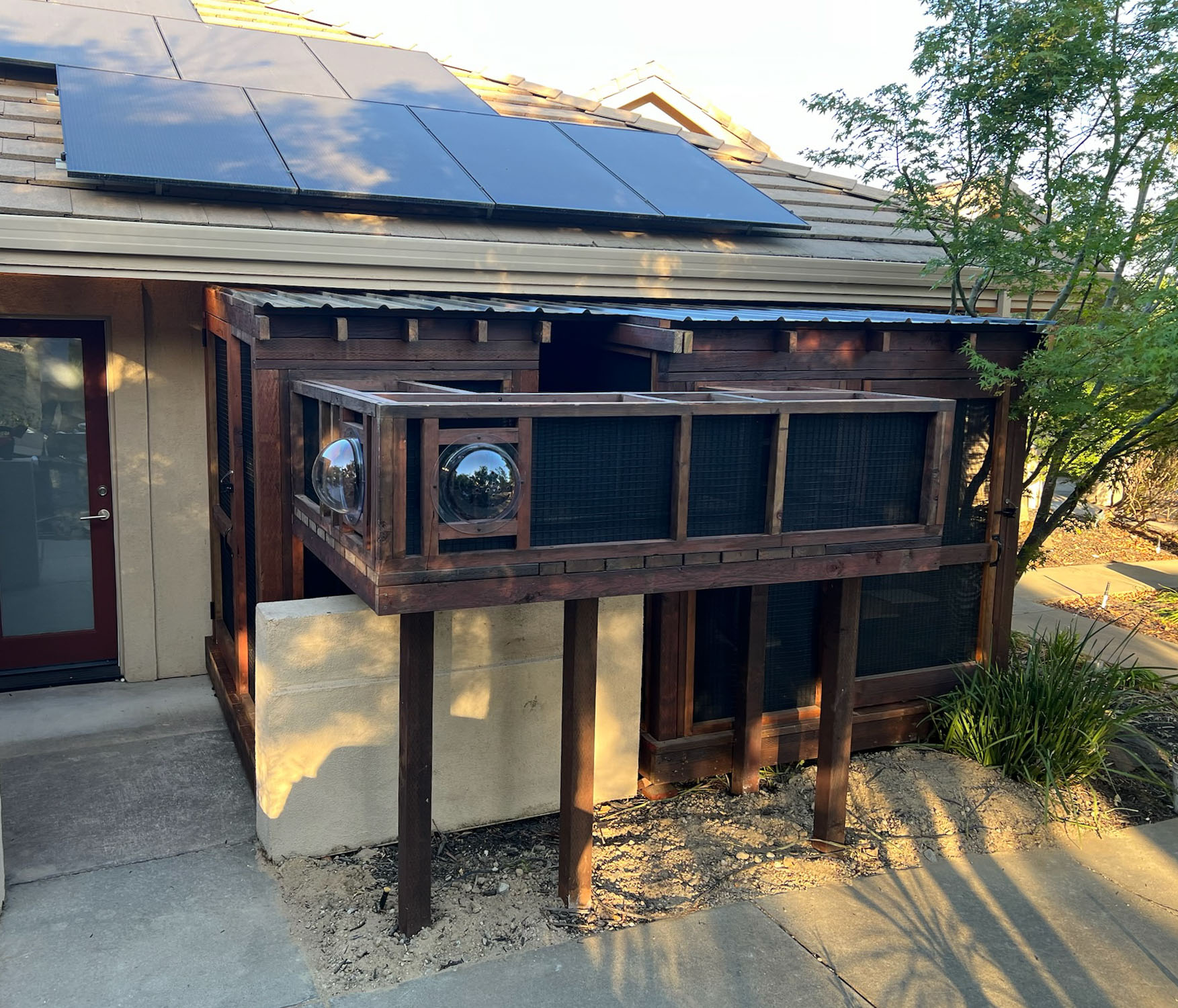 Custom-built catio attached to a home with two clear bubble windows, elevated mesh enclosure, and a sloped roof beneath solar panels.