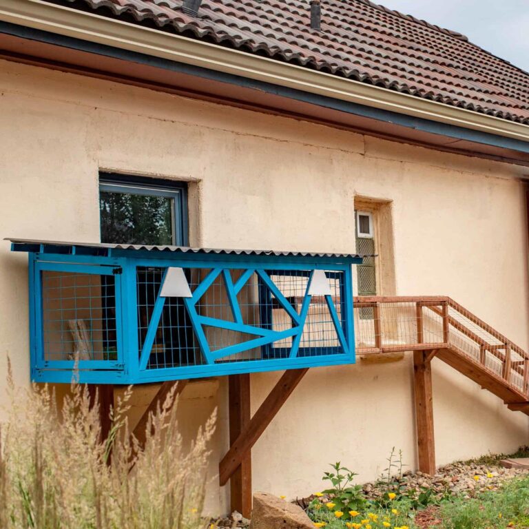 Full view of a custom wall-mounted blue catio with an attached wooden tunnel ramp leading to a secondary window, set against a beige stucco house.