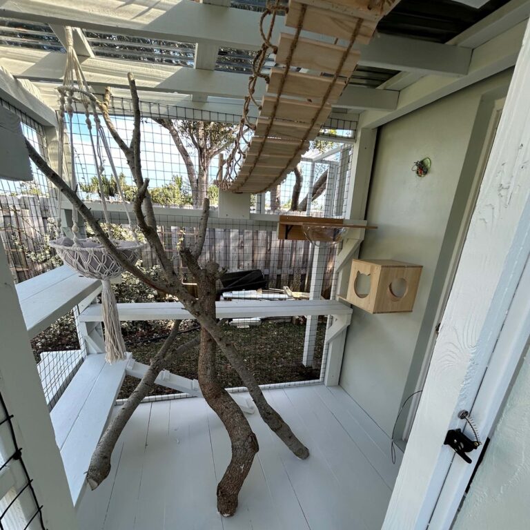 Bright white-painted catio featuring a natural climbing tree, hanging macramé hammock, rope bridge, cube hideout, and outdoor shelves.