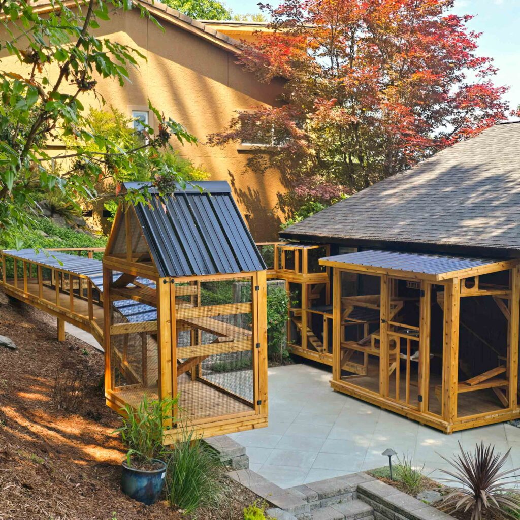 Full view of a multi-section custom catio system with a cat tower, elevated walkway, and large enclosed patio structure, nestled between a house and a garage.