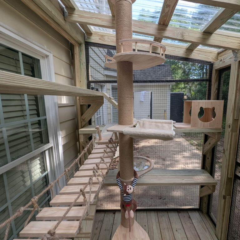 Interior of a custom catio featuring a sisal-wrapped climbing post, rope bridge, lounging hammock, and wooden platforms.