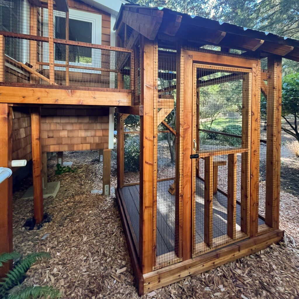 Vertical wooden catio tower with clear roofing and enclosed tunnel, connecting to a raised wooden deck along the side of a house.
