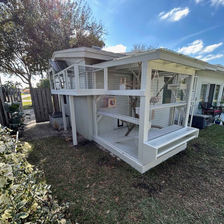 Large white-painted outdoor catio attached to a house, featuring walkways, climbing branches, platforms, and wire mesh panels.
