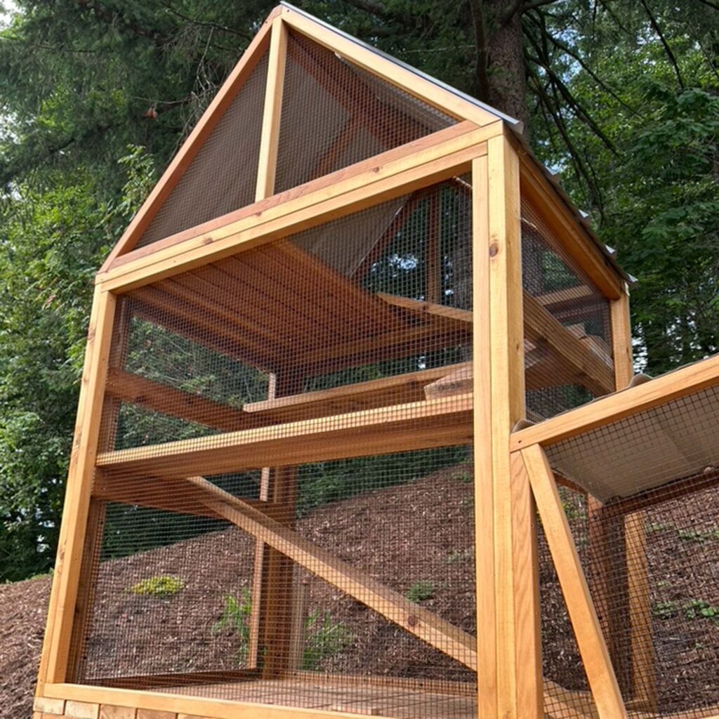 Tall outdoor catio tower with a gable roof, climbing shelves, and mesh walls