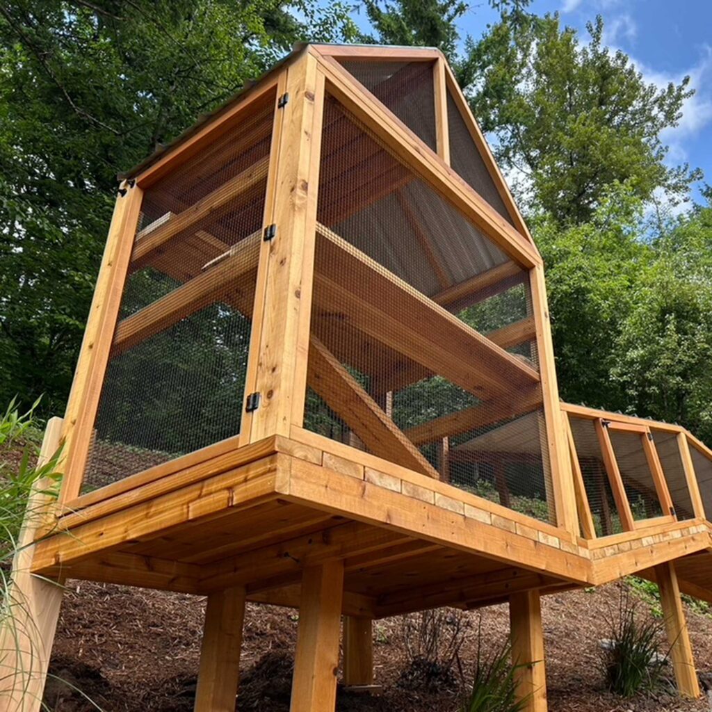 Raised wooden catio with tall tower and connecting tunnel on a sloped yard