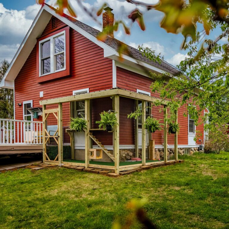 Charming wooden catio attached to a red house, featuring hanging ferns, ramps, platforms, and mesh enclosure for outdoor cat safety.