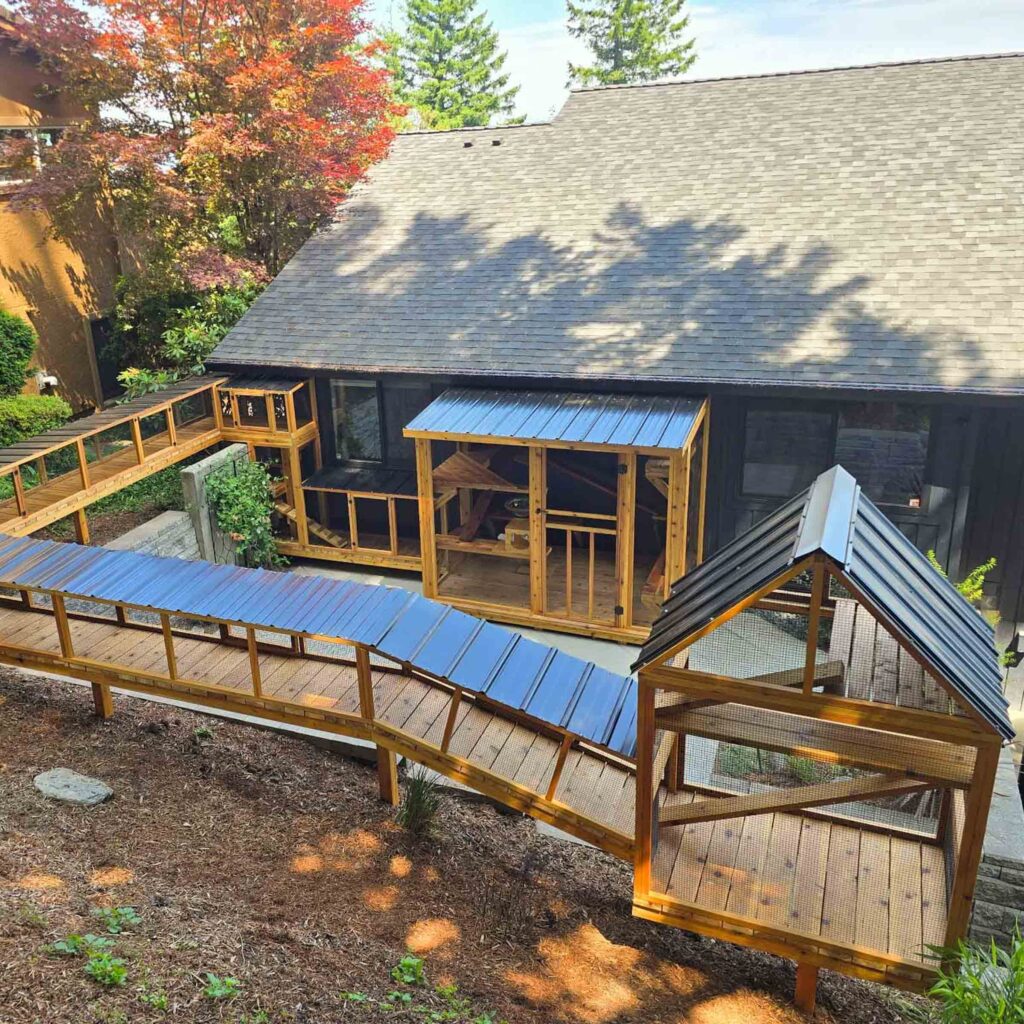 Sloped backyard catio system with multiple enclosures and covered catwalks