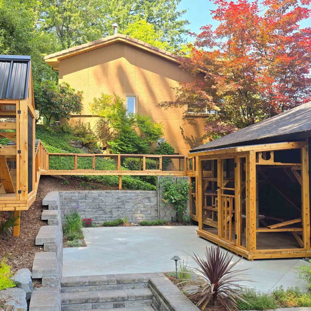 Custom catio walkway bridging two structures across a landscaped patio