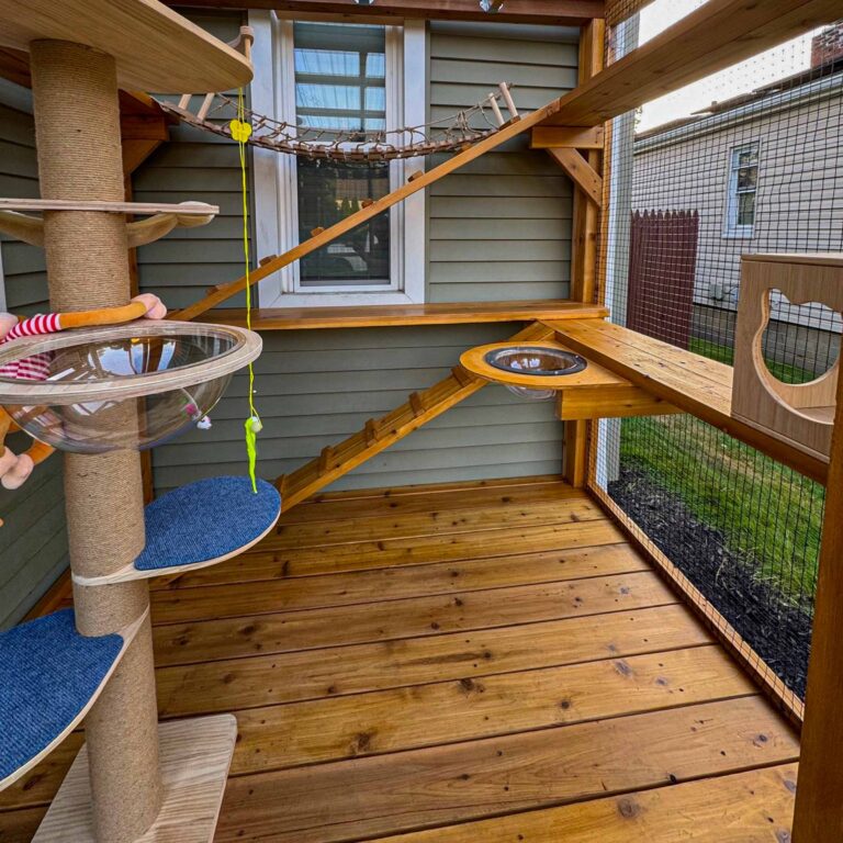 Interior of catio with clear bubble perches and rope bridge