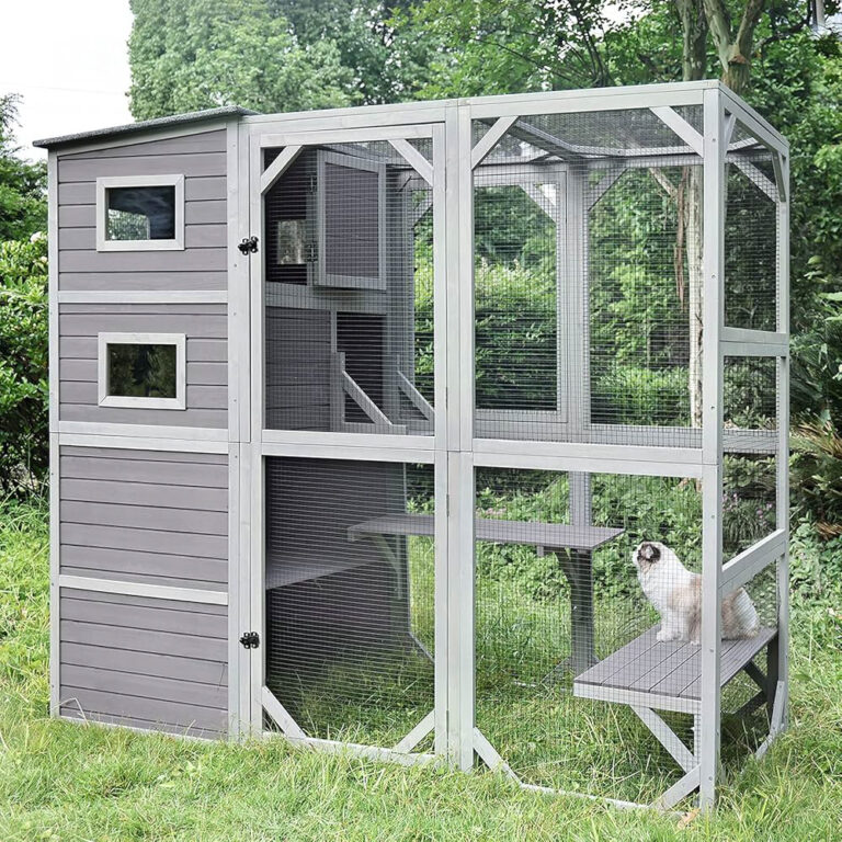 Tall gray outdoor catio in a grassy yard, featuring built-in wooden shelter space, multi-level perches, and two fluffy cats.