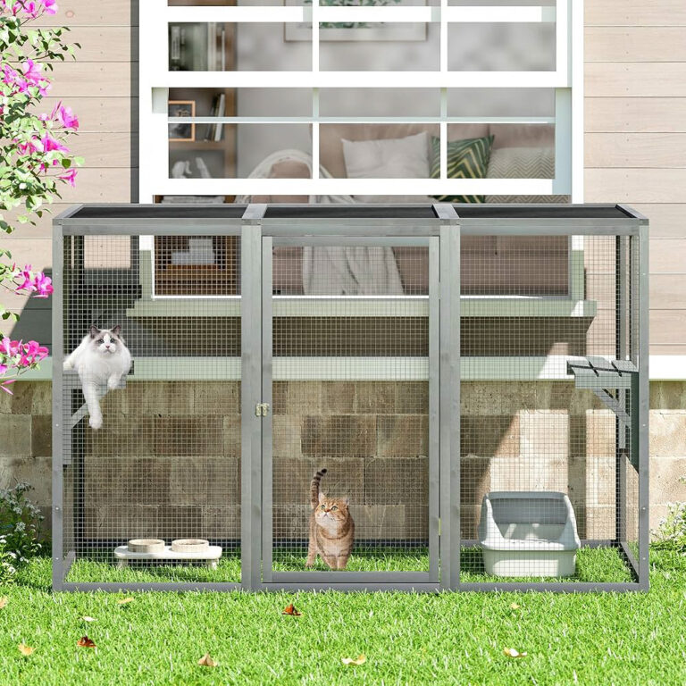 Modern gray-framed catio positioned below a large window with two cats inside, featuring food bowls and a litter box on a grassy lawn.
