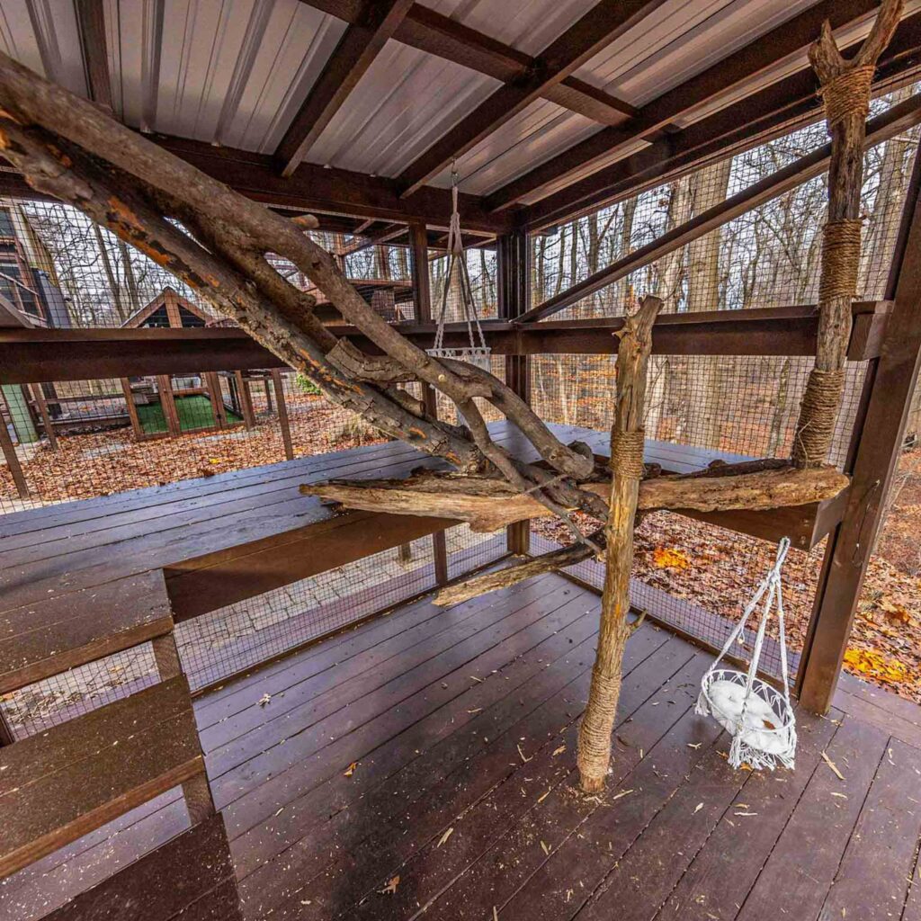 Natural tree branch playground inside large catio