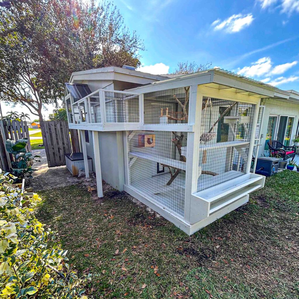 White-painted backyard catio with tunnel and tree branches