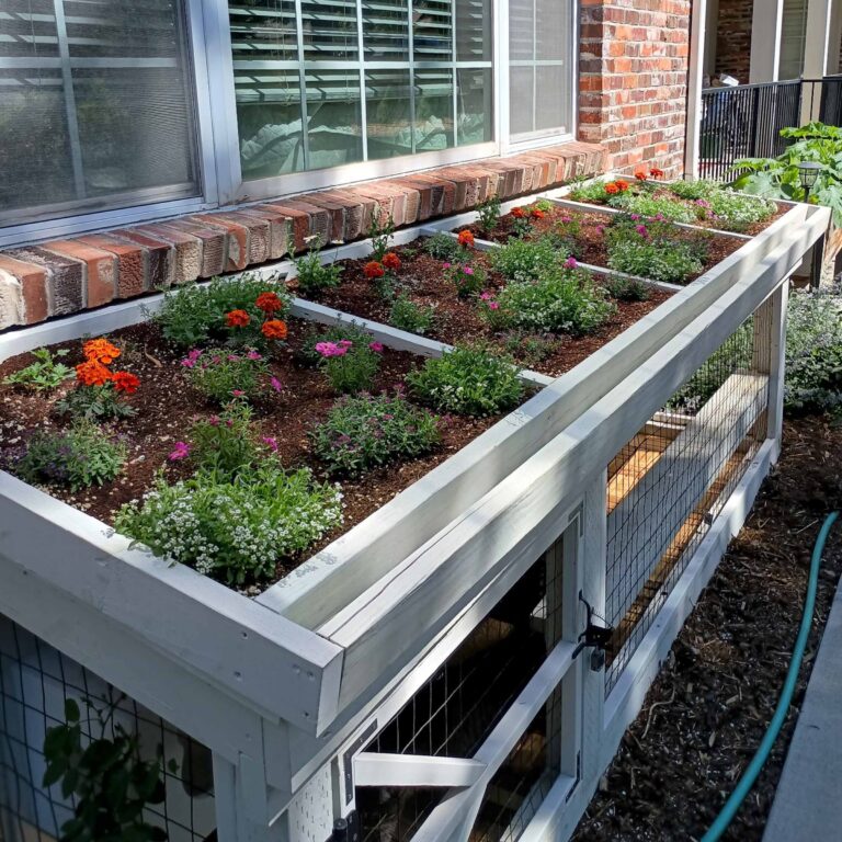 Custom catio with a rooftop garden, built beneath a window and filled with blooming flowers and greenery above an enclosed mesh cat space.