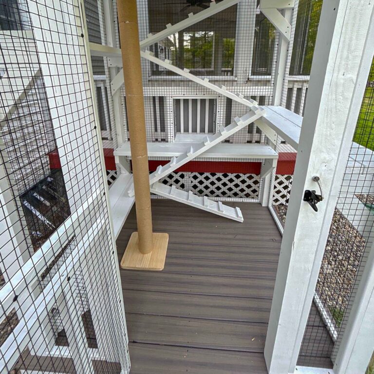 White-painted catio with ramps and platforms