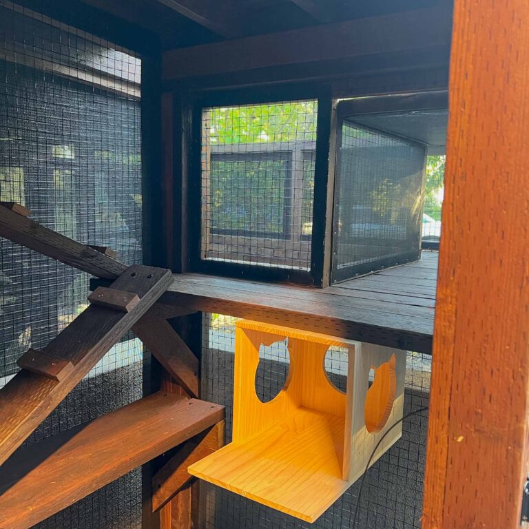 Interior dark-wood catio with window tunnel and cubby