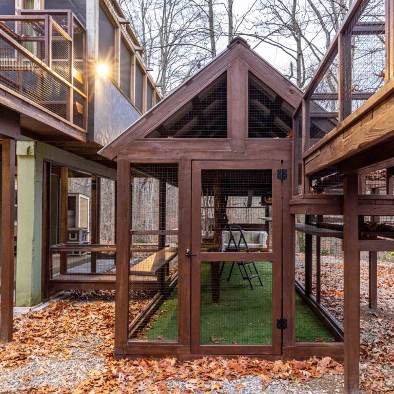 Large wooden catio with a peaked roof and mesh walls, connected to elevated tunnels that lead to the house and surrounding structures.