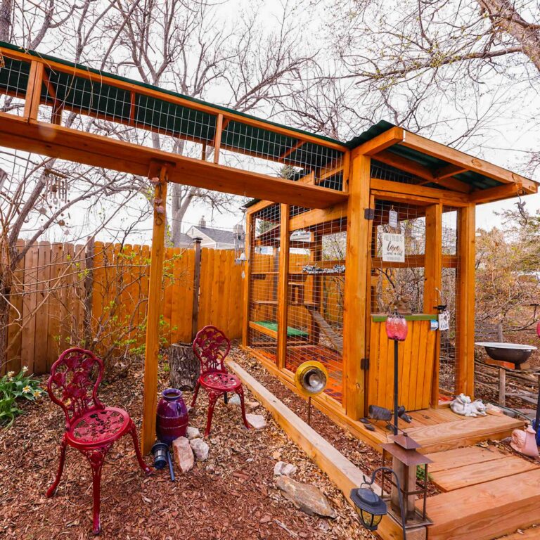 Side-yard catio with tunnel entry, roof covering, and seating nearby.