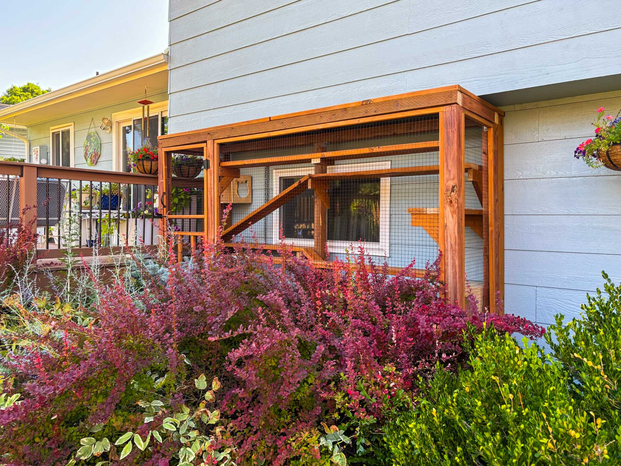 Denver, CO Stained Pressure Treated Catio