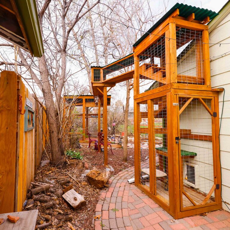Narrow catio with overhead tunnels and vertical enclosures along house side yard.