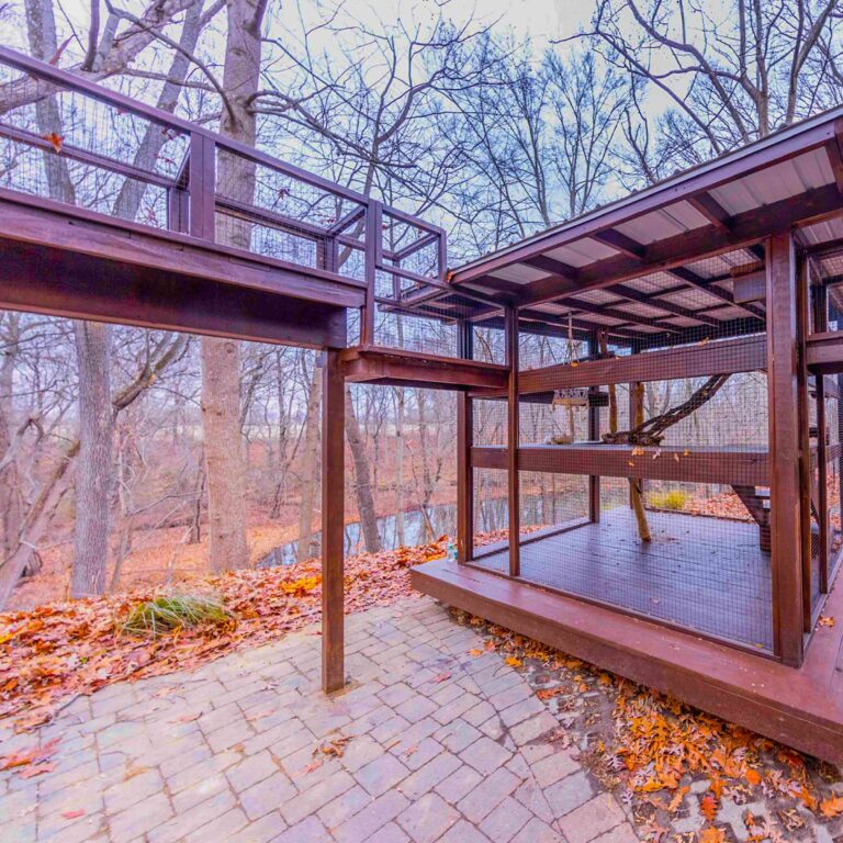 Elevated tunnel connecting to large catio enclosure in a wooded yard.