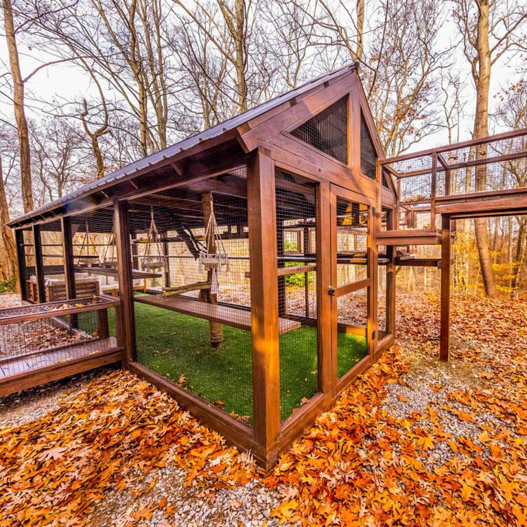 Spacious backyard catio with peaked roof and long tunnel entry.