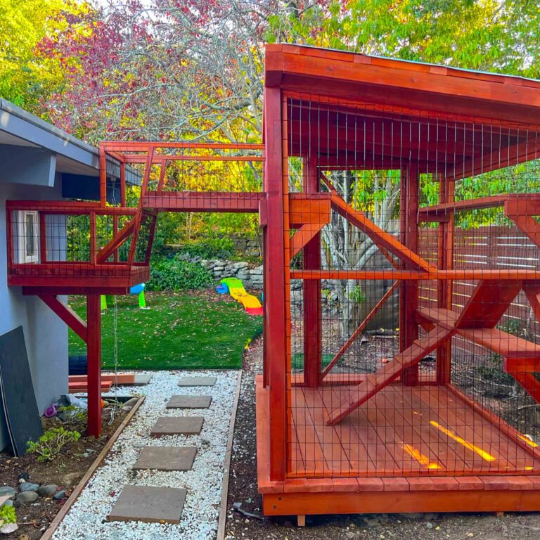 Large catio with tall enclosure and tunnel extending from gray home.