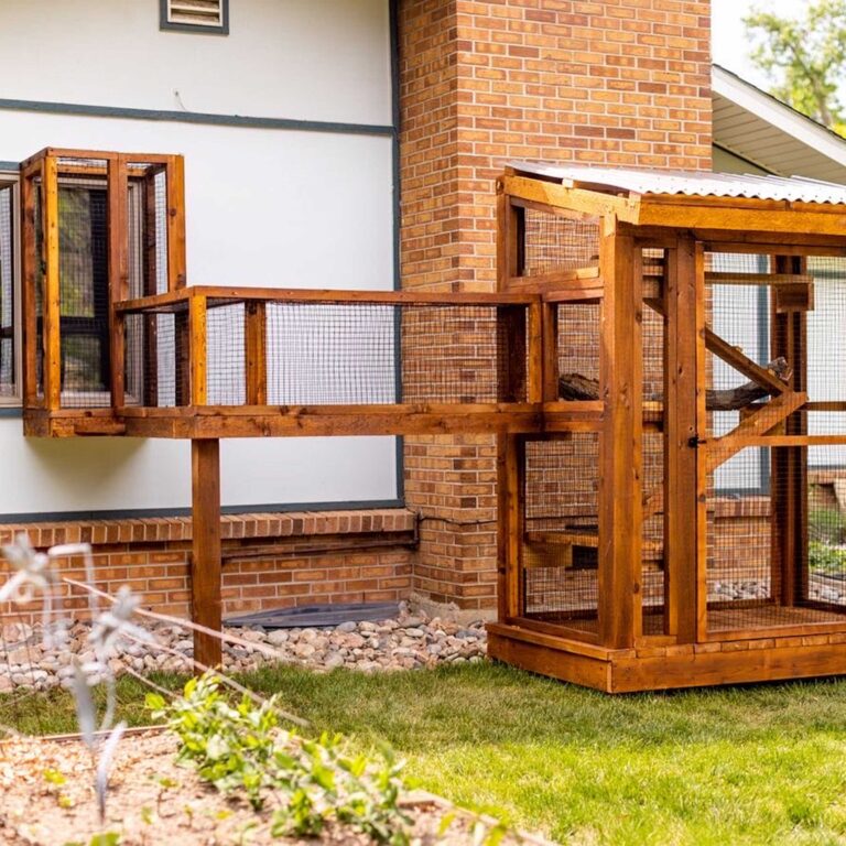 Compact catio enclosure with tunnel connected to brick house wall.