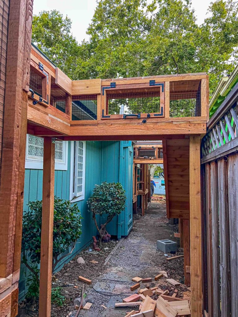 Custom catio tunnel running along the side of a blue house in San Jose, CA, elevated with wire mesh panels and wood framing.