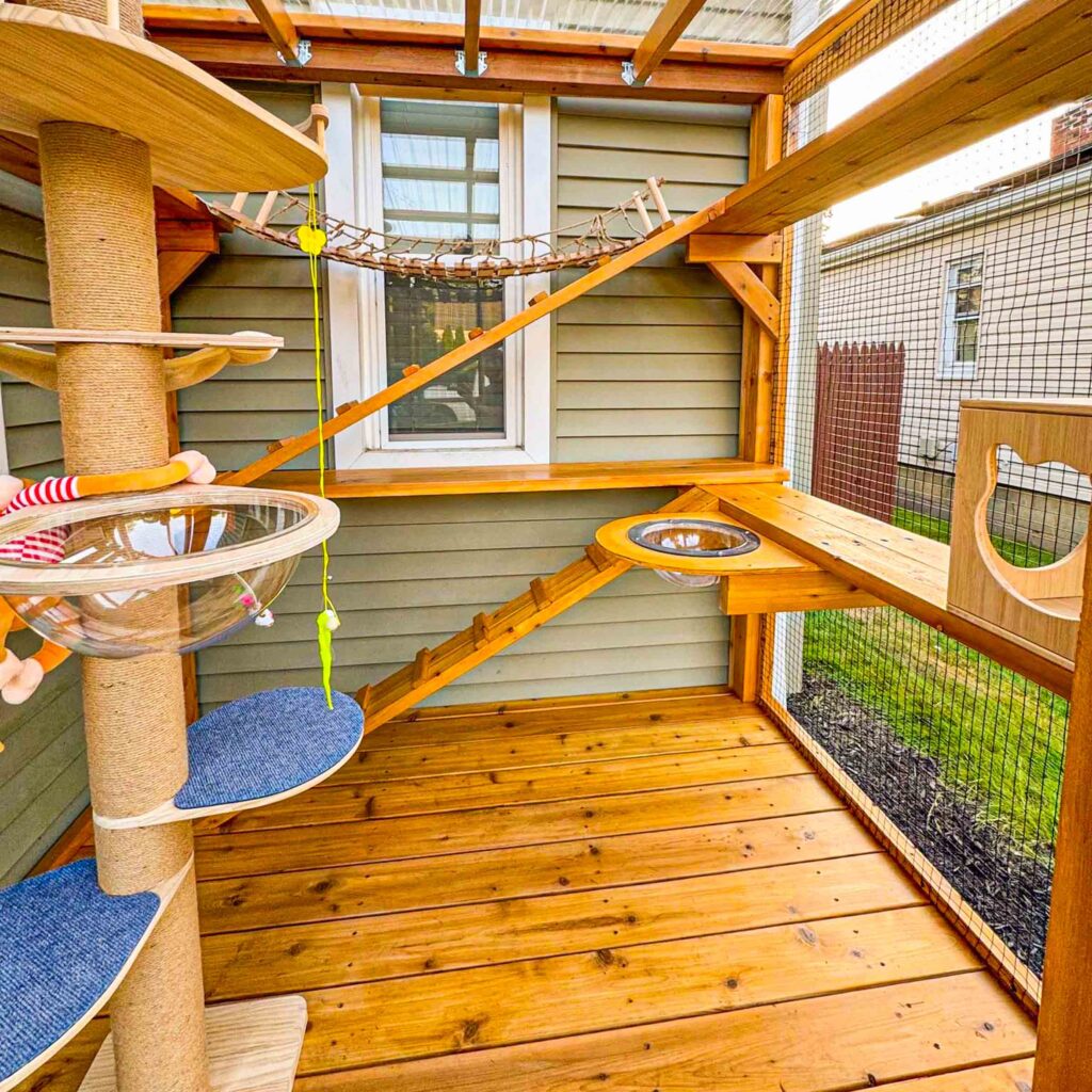 Custom-built catio interior with a clear cat bubble bed, rope bridge, climbing post, and wood shelving with playful access ramps.