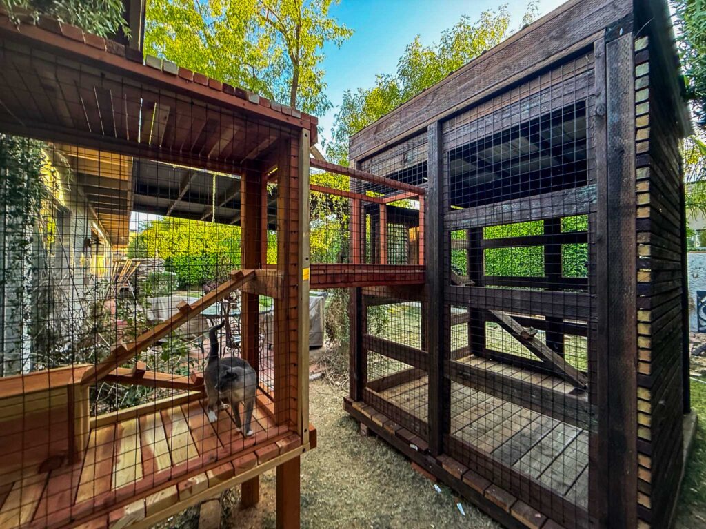 Custom two-section wooden catio in Garden Grove, CA, featuring a connected tunnel and spacious climbing ramps for cats.