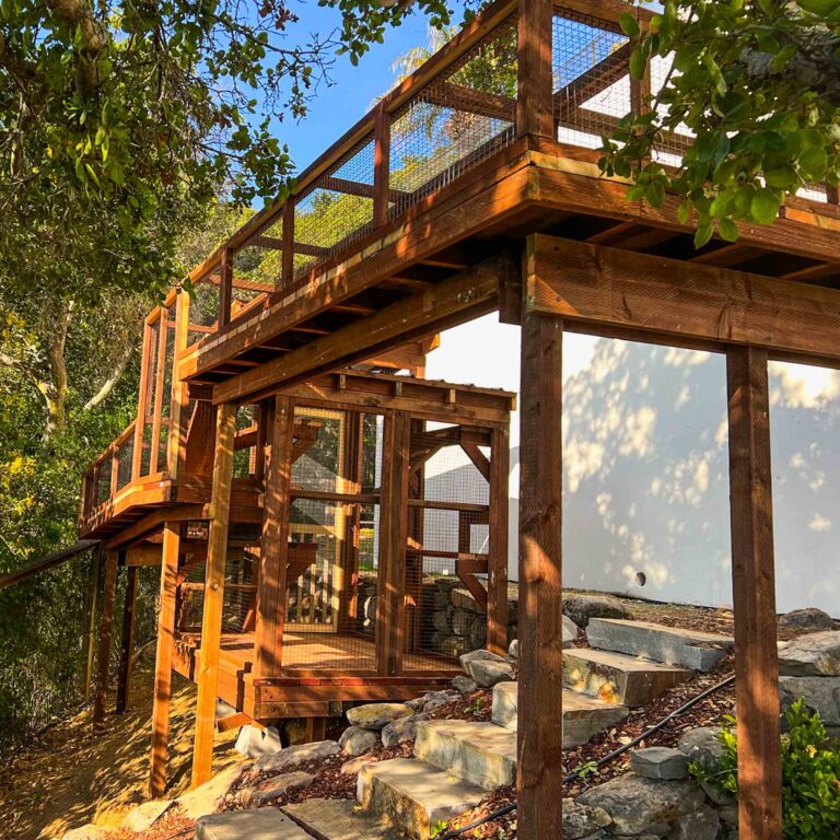Multi-level catio with elevated tunnel built along hillside with stone steps.