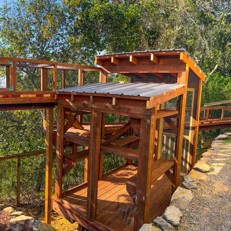 Large custom catio with roof and long connecting tunnel extending through a wooded yard.
