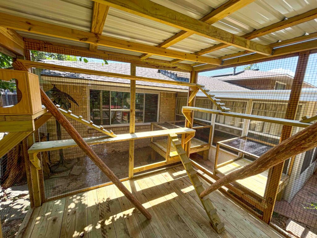 Interior view of custom catio showing multiple climbing ramps, wide shelves, and access tunnel leading back to the home.