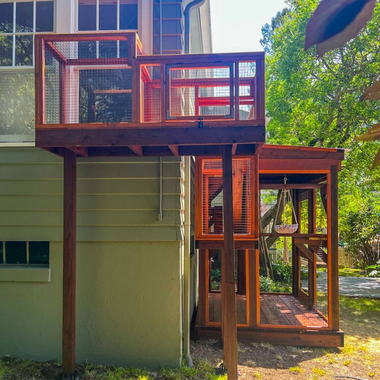 Elevated wooden catio tunnel leading to large enclosure with hammock.