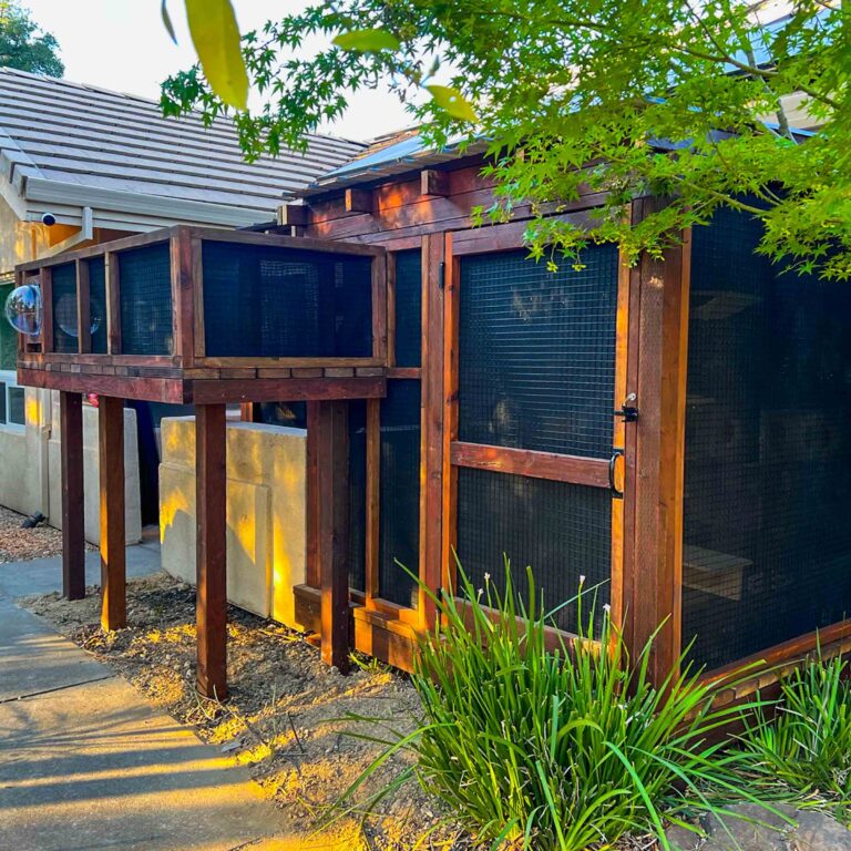 Side yard catio enclosure with tunnel system and black mesh walls.