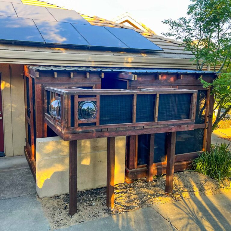 Elevated catio tunnel with bubble windows attached to house exterior.