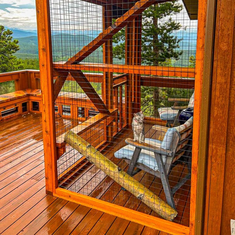 Elevated deck catio with a gray cat sitting on a chair, overlooking a scenic mountain view.