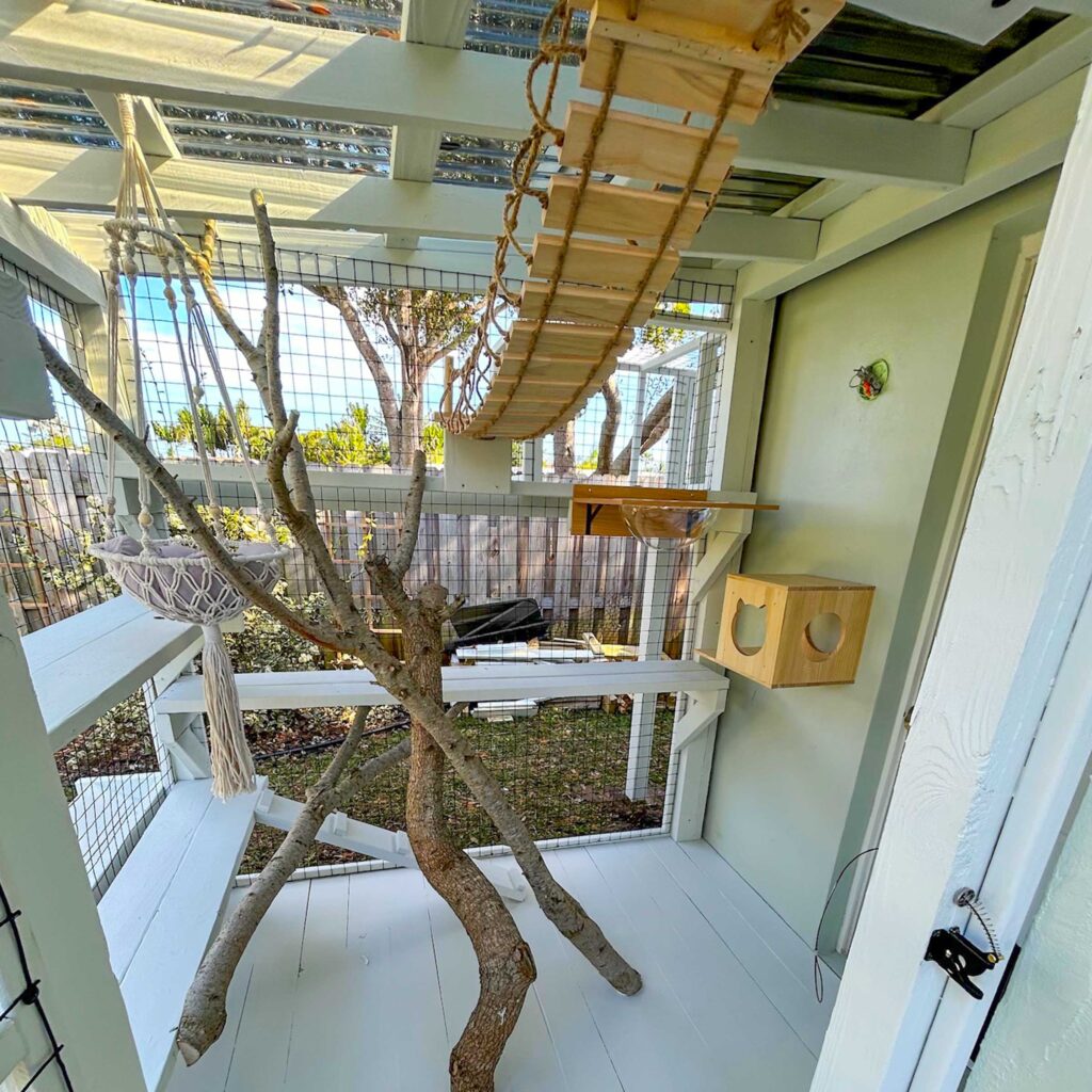 Bright and airy catio with a macrame cat hammock, natural climbing tree, overhead rope bridge, and transparent bubble bed.