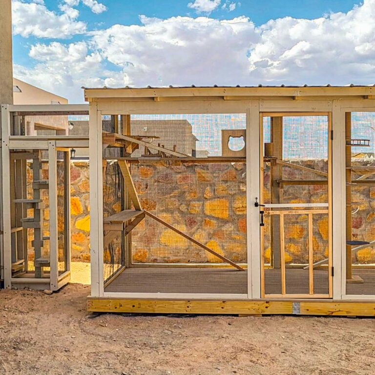 White framed catio with tunnel connection beside stone wall in desert yard.
