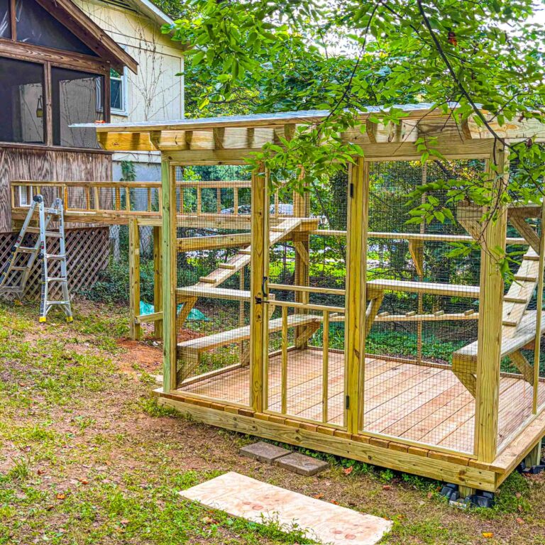 Light wood catio with tunnel attached to house, set in shaded backyard.