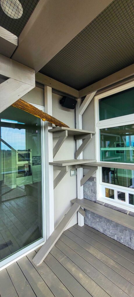 Interior view of a custom catio with climbing shelves, ramp, and window entry for cats in Longmont, Colorado.