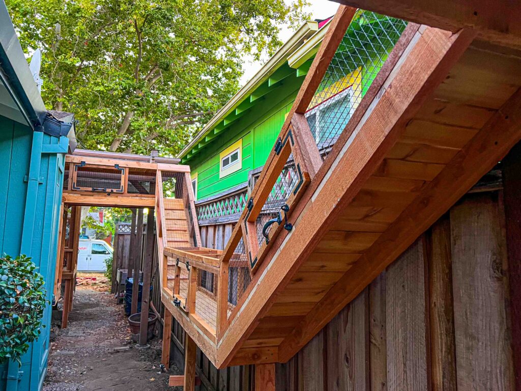 Sloped wooden cat bridge leading to upper-level catio connected between two structures