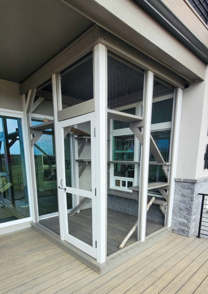 Custom outdoor catio enclosure on a deck in Longmont, Colorado, featuring a secure door, mesh walls, and climbing structures for cats.