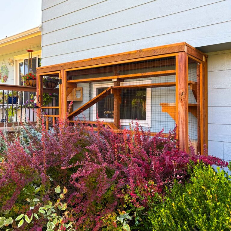 Window-mounted custom catio surrounded by vibrant garden plants and flowers.