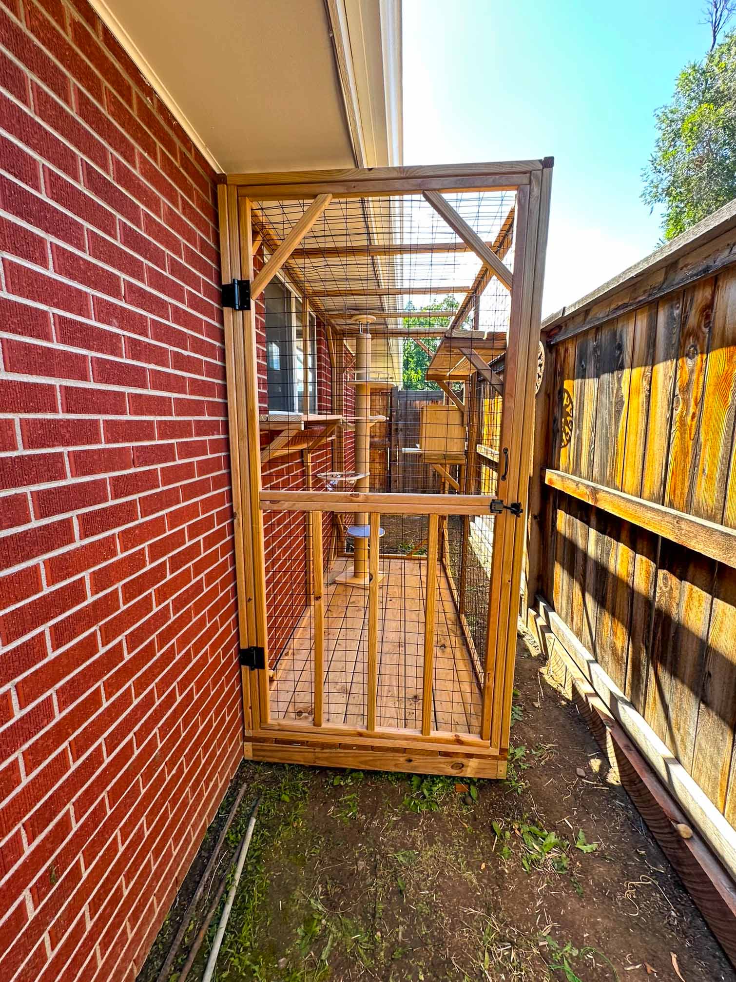 Denver, CO Pressure Treated Catio build by Cat Topia featuring shelves, ramps, screened roof, and vertical play design